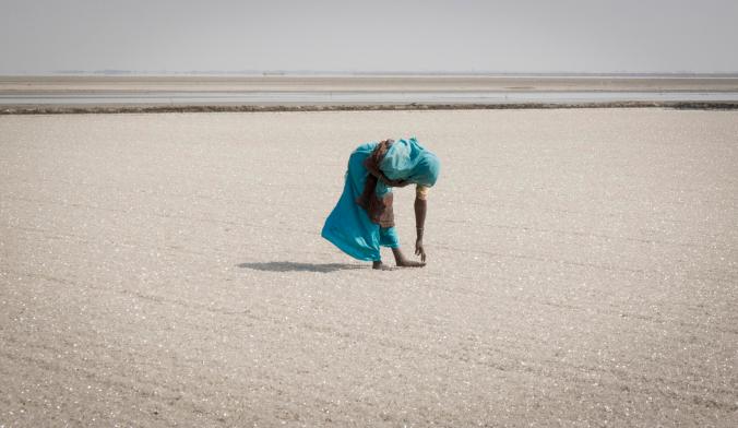 14318664684_b2be3cb7d9_o