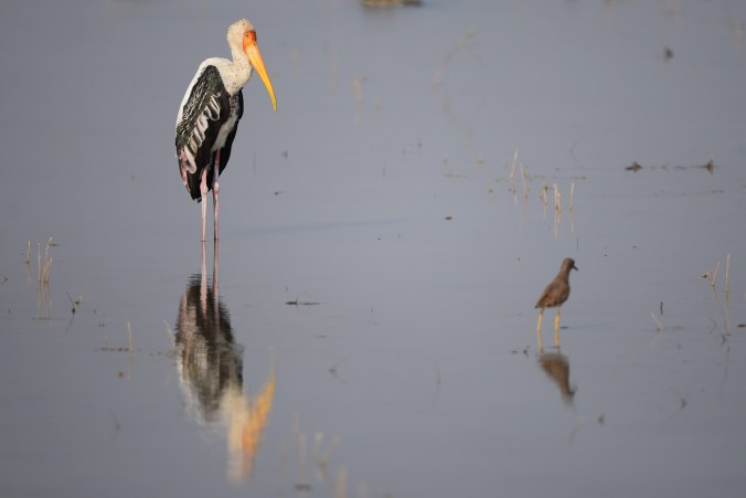 15627337243_d02424c53f_o