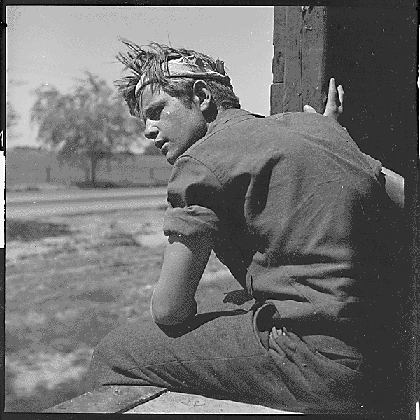 hobo