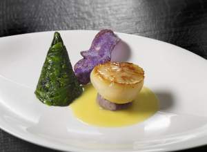 san domenico geometrie alimentari