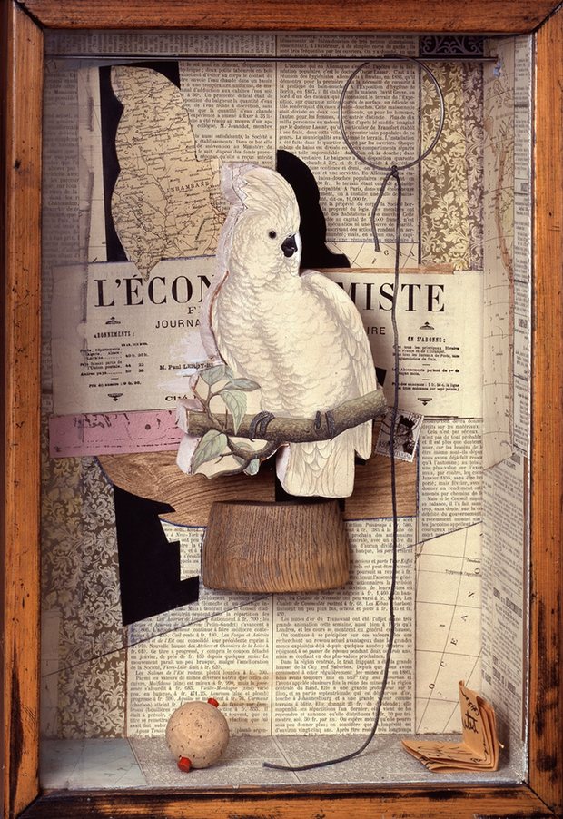 joseph-cornell-a-parrot-for-juan-gris-1402x2040