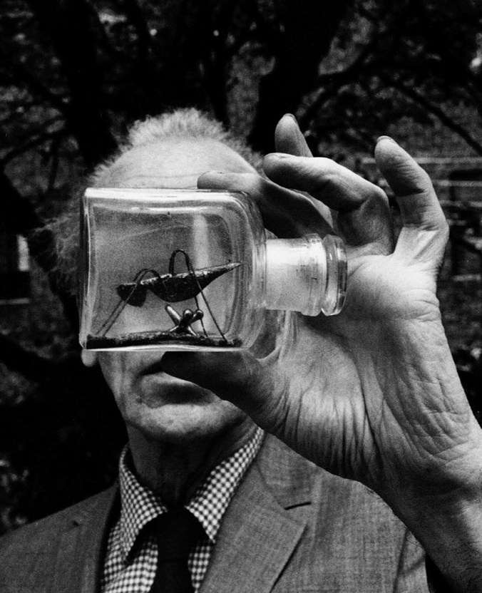 joseph-cornell-glassbottle