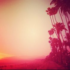 santa-monica-sunset-on-palisades-park
