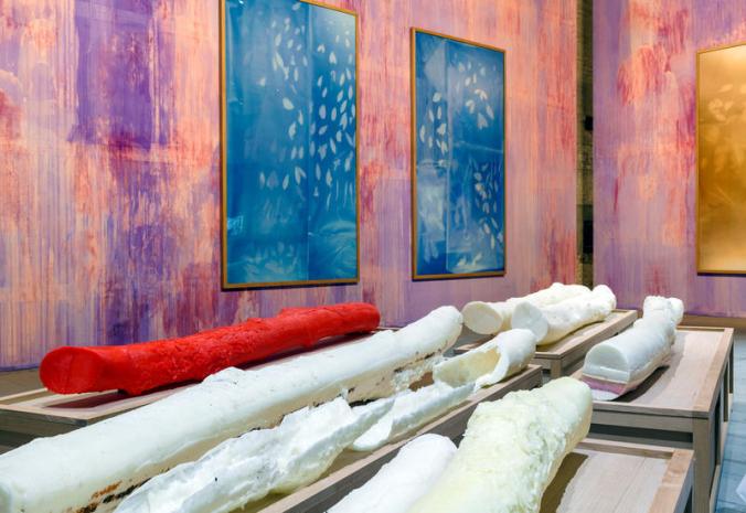 biennale-venezia-2017-cosa-vedere-arsenale_oggetto_editoriale_800x600