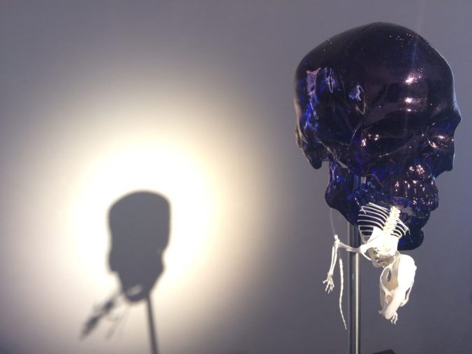 Jan Fabre Venezia 2017 Bones and Glass